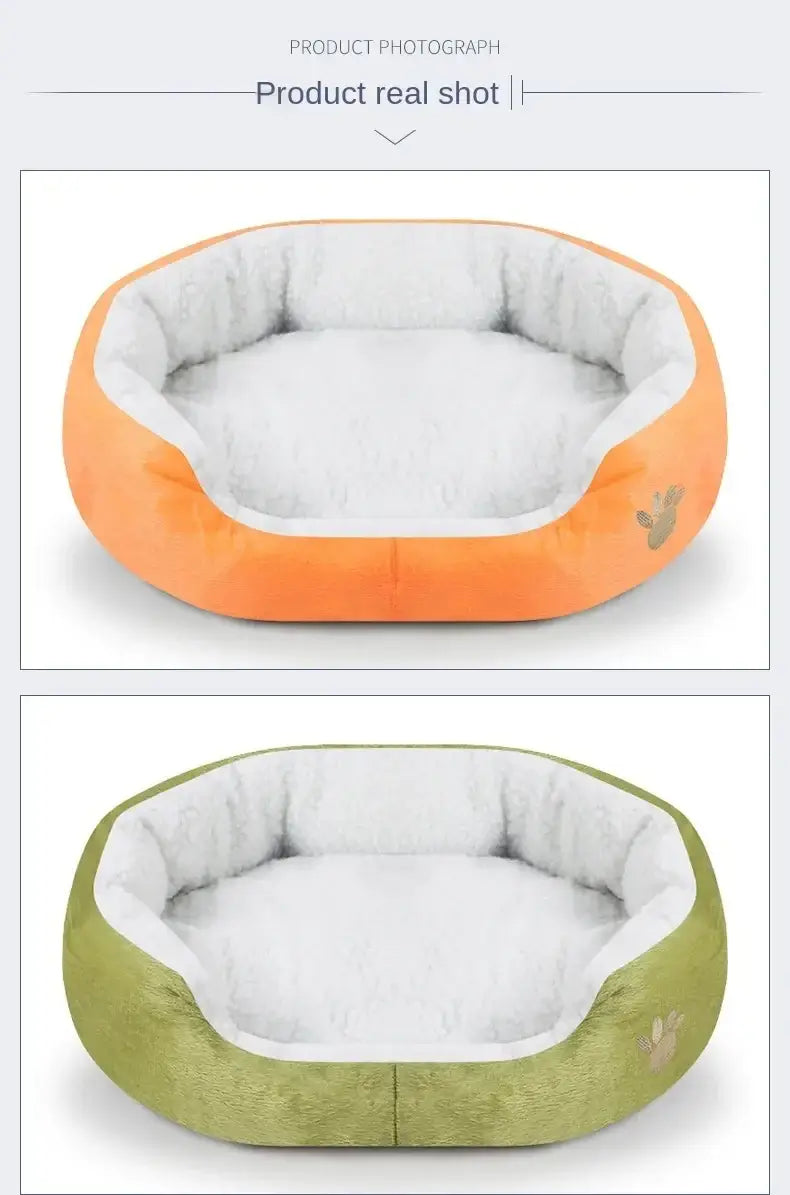 large dog bed