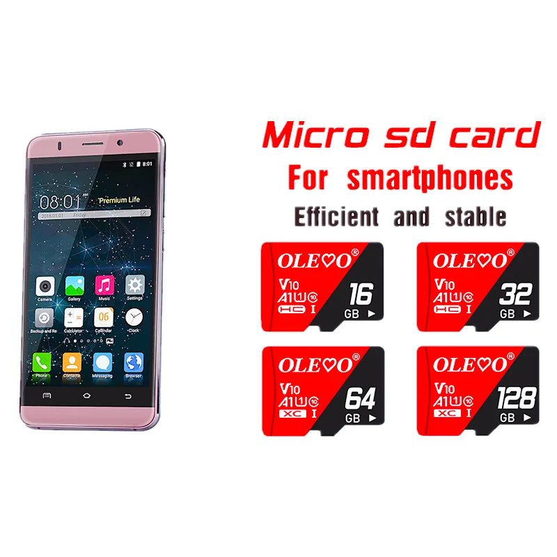 EJVS™ V10 Micro SD Cards