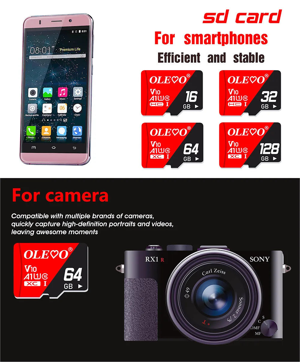 EJVS™ V10 Micro SD Cards