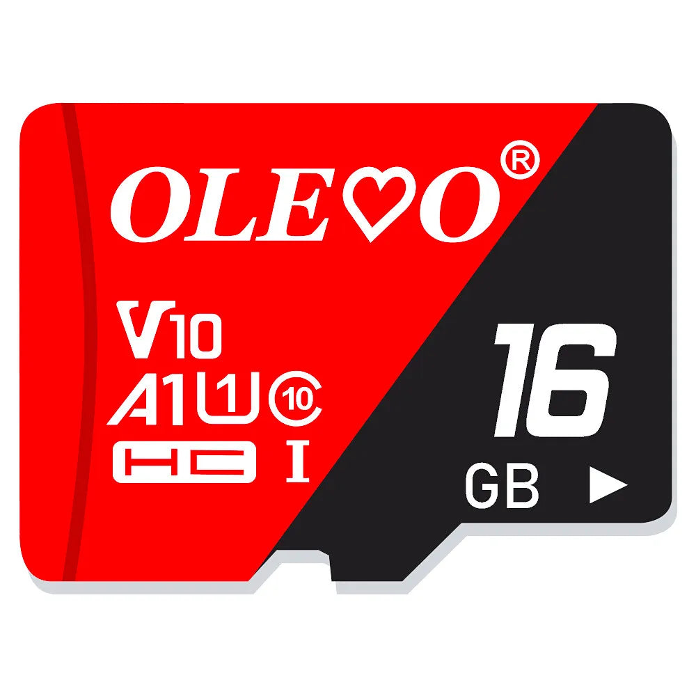 EJVS™ V10 Micro SD Cards