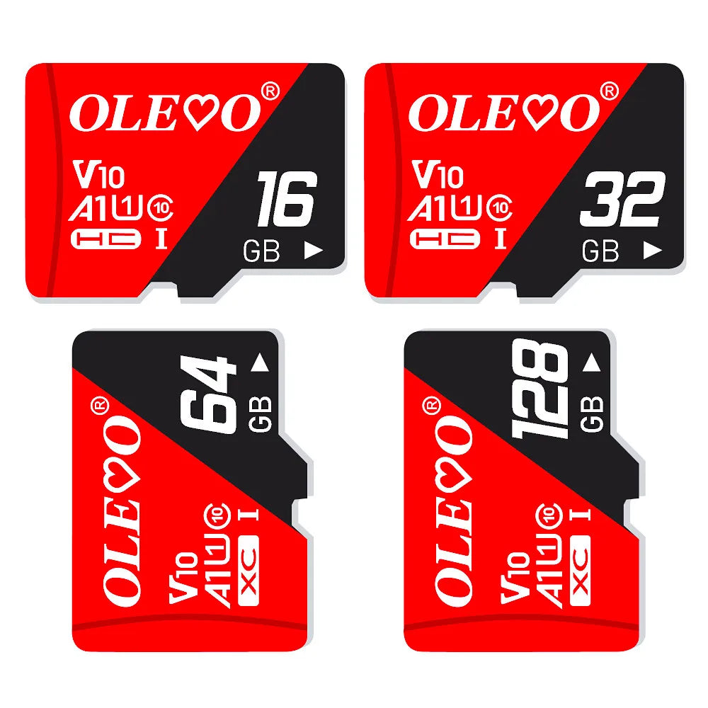 EJVS™ V10 Micro SD Cards