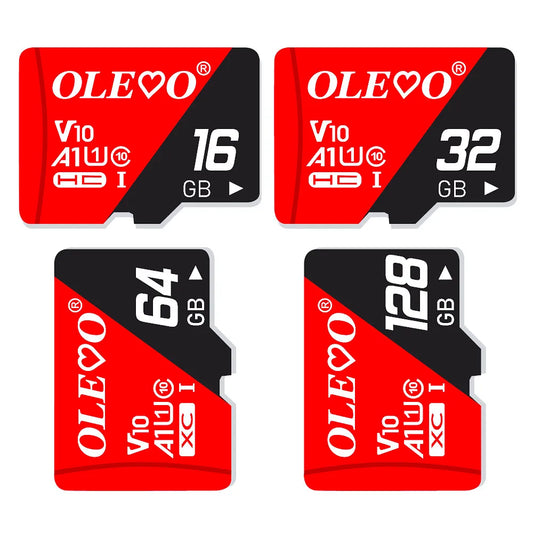EJVS™ V10 Micro SD Cards