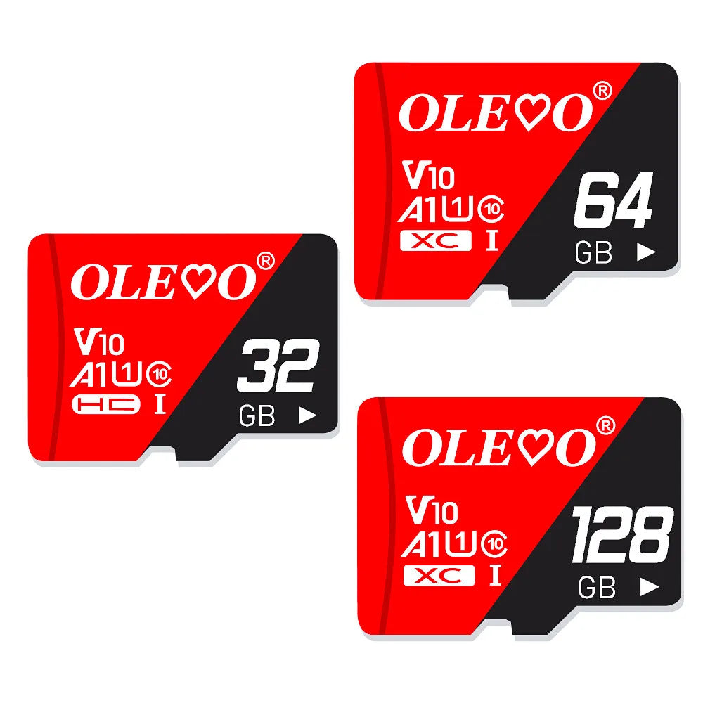 EJVS™ V10 Micro SD Cards