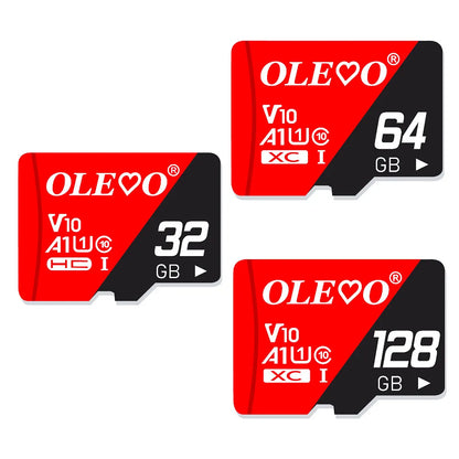 EJVS™ V10 Micro SD Cards