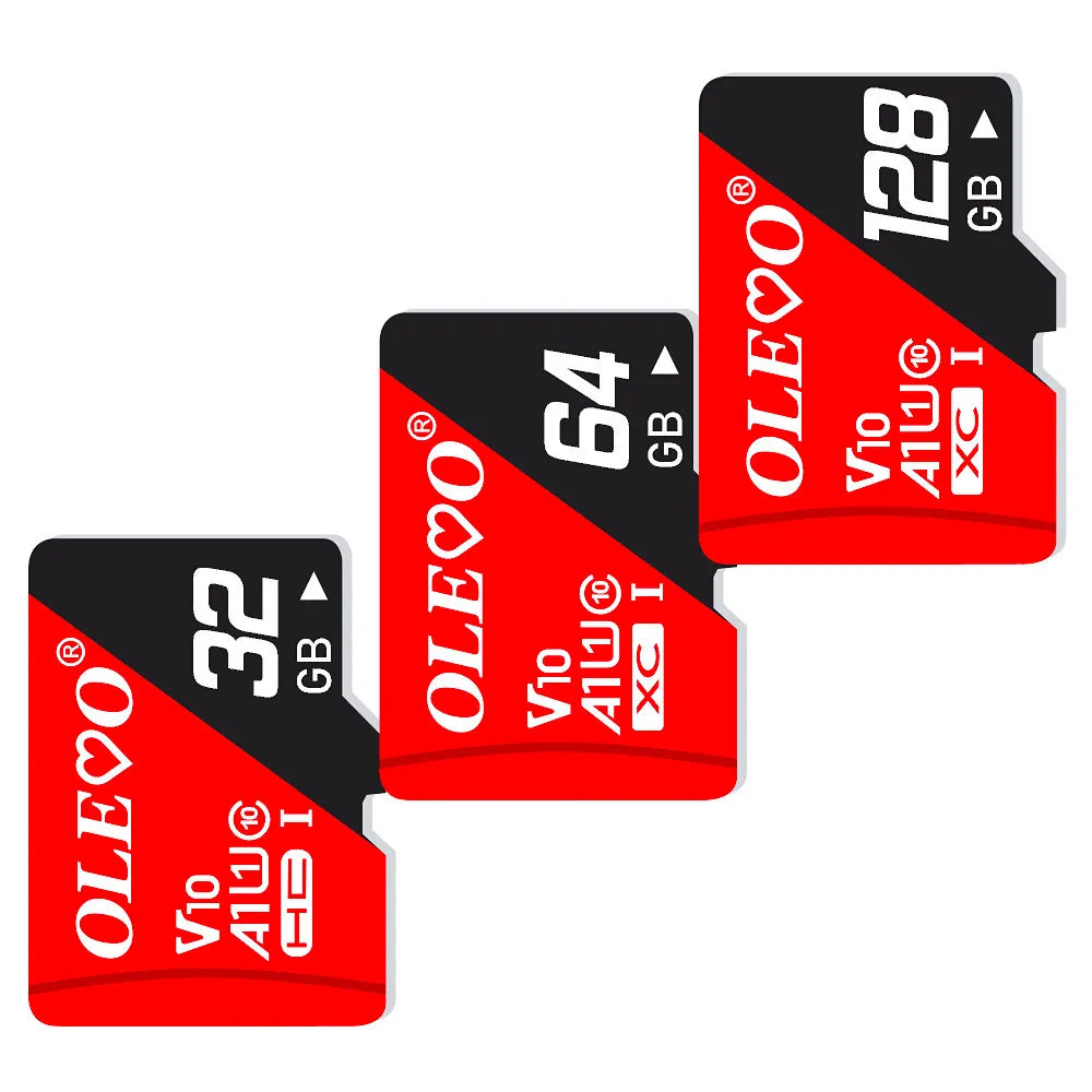 EJVS™ V10 Micro SD Cards