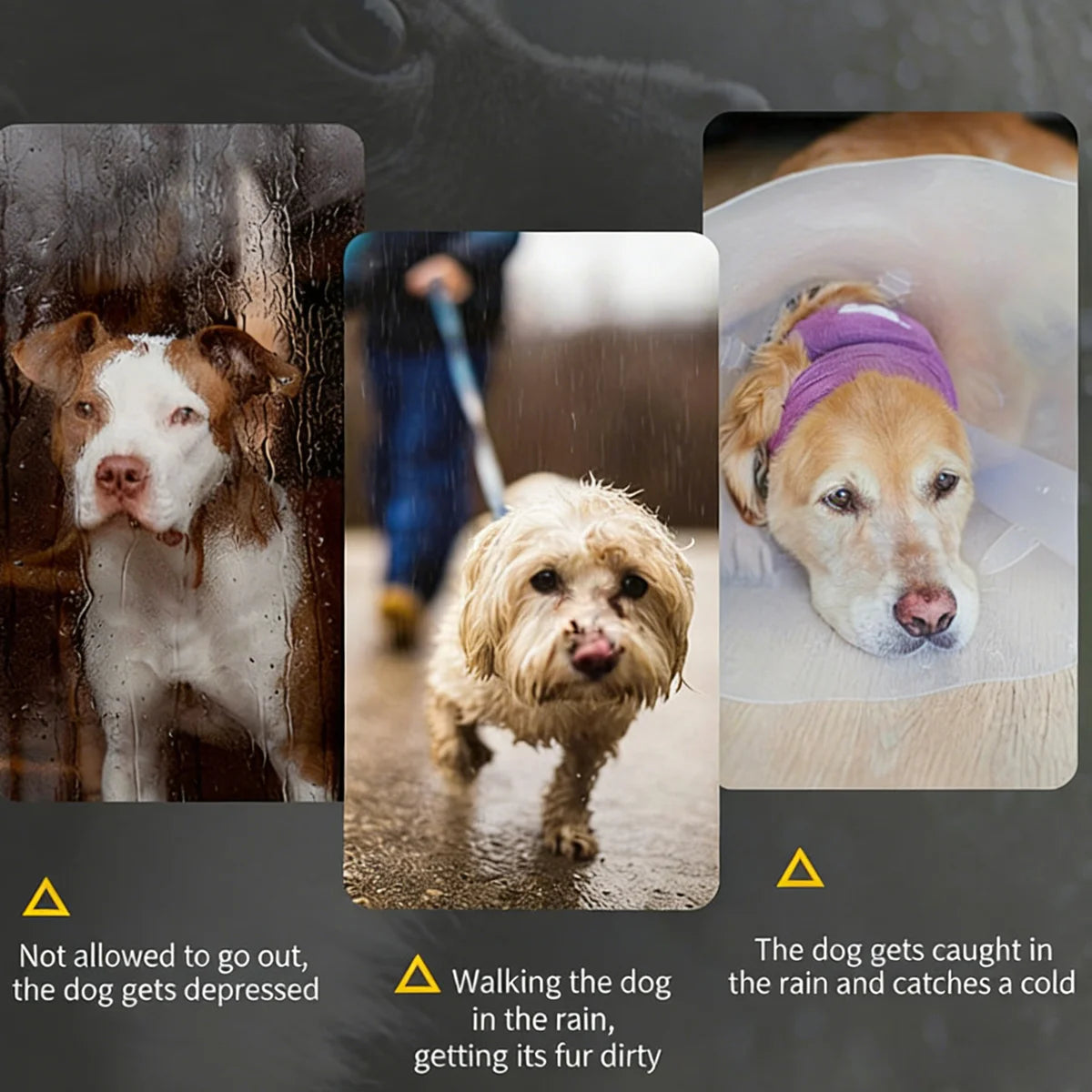 EJVS™ Pets Anti-slip Rain Boots