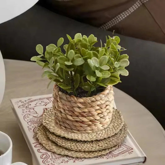 EJVS™ Small Potted Fake Plant