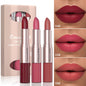 EJVS™ 3 Color Gloss Waterproof Lipstick