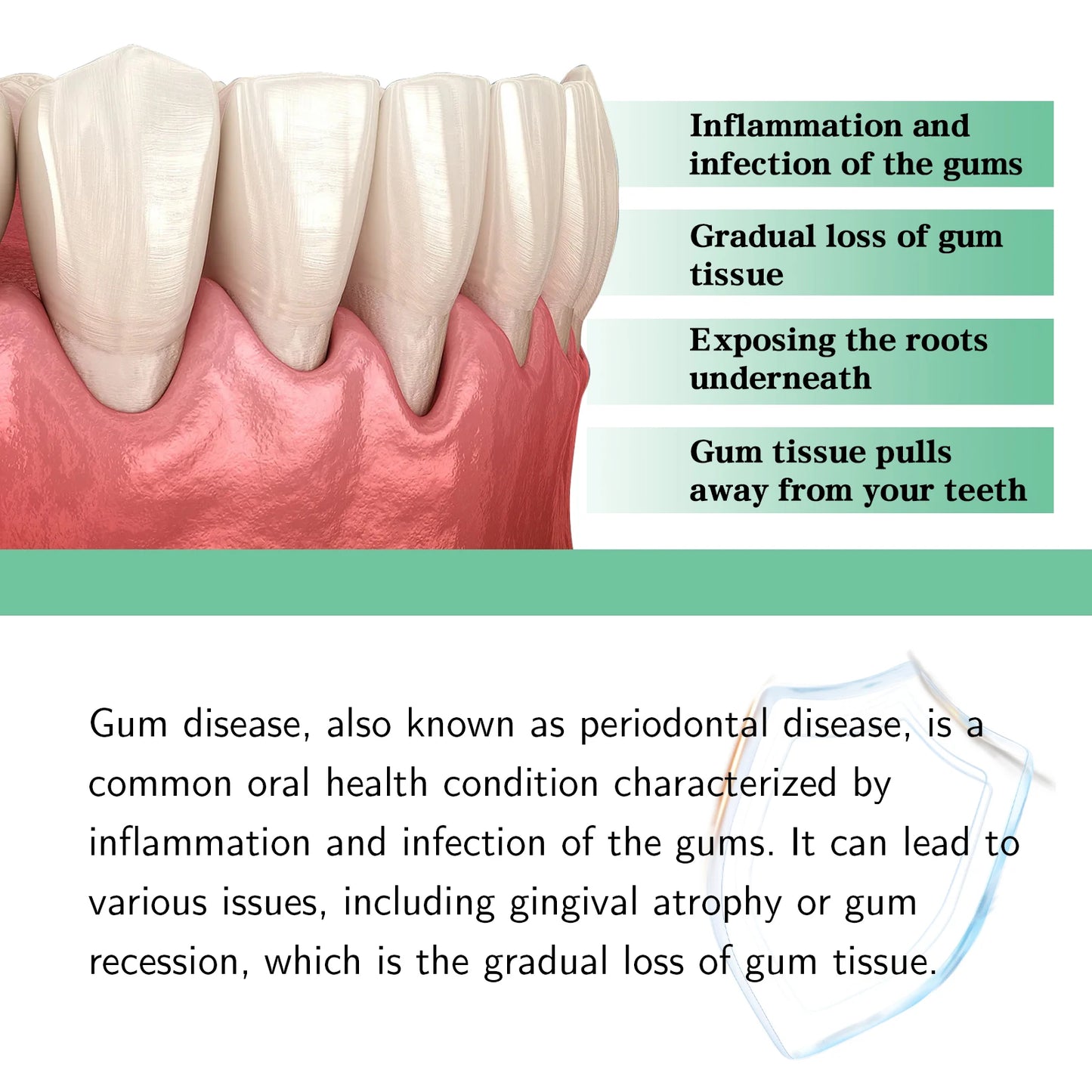 EJVS™  Gum Repair Drops Relieve Receding Gingival Gum - Oral Periodontal Hygiene