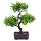 EJVS™ Artificial Potted Plants