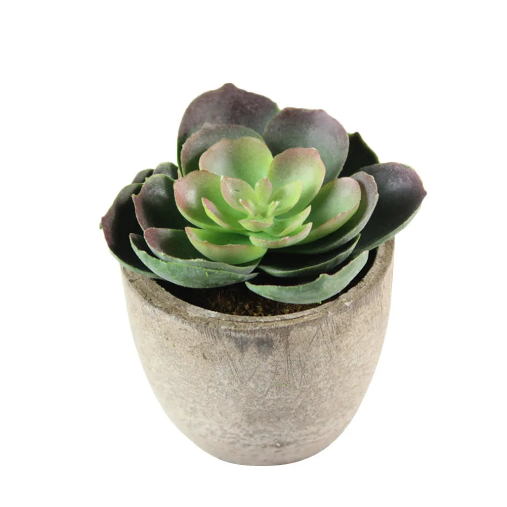 EJVS™ 4-Piece – Lifelike Green Decor for Home