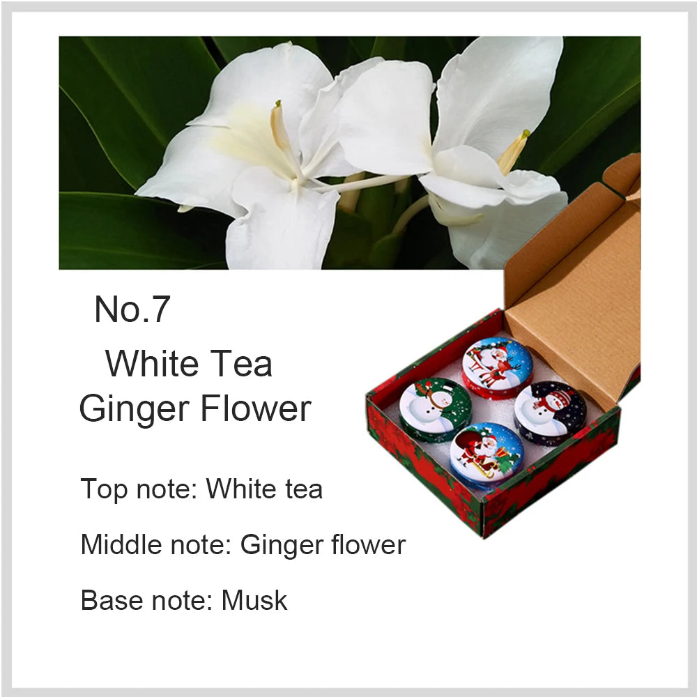 EJVS™ 4-Piece Scented Christmas Candles