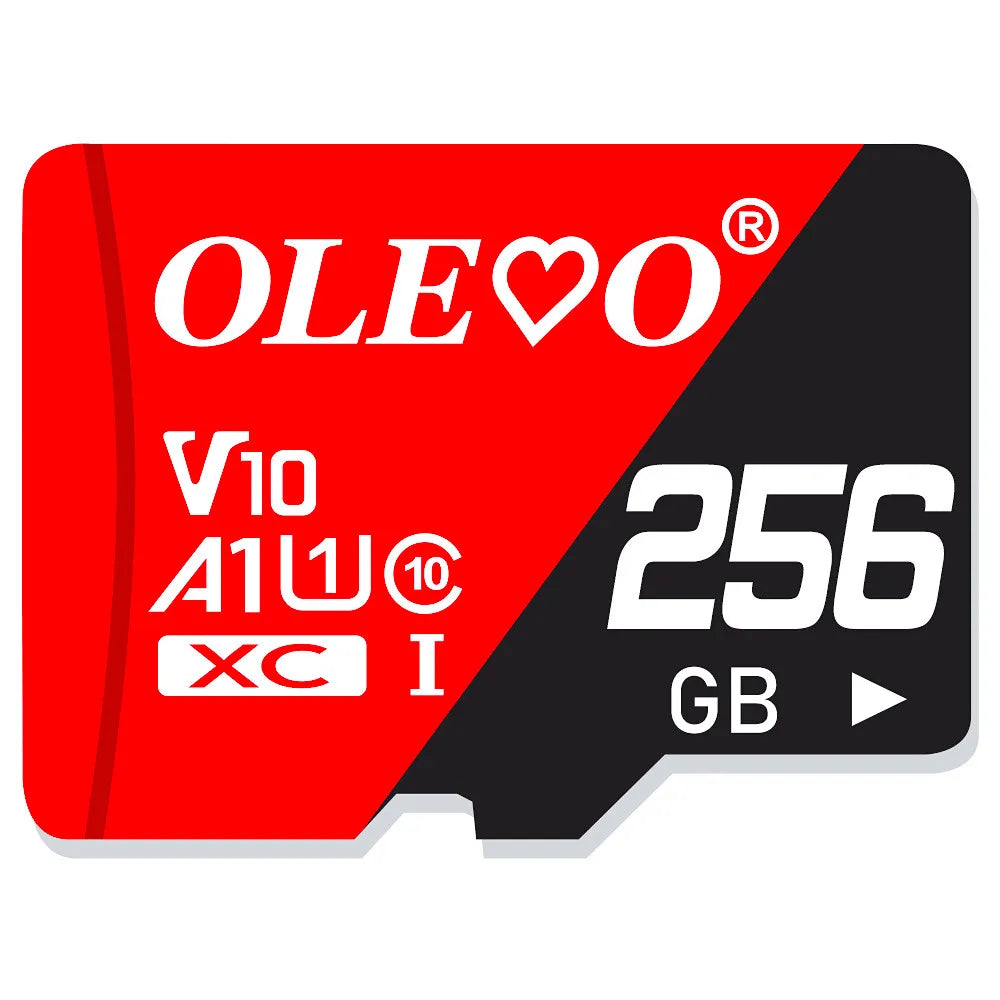 EJVS™ V10 Micro SD Cards