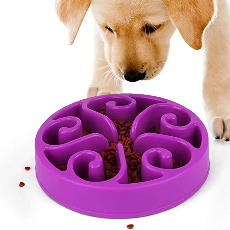 EJVS™  Pet Dog Slow Feeder Bowl - Anti-Gulping