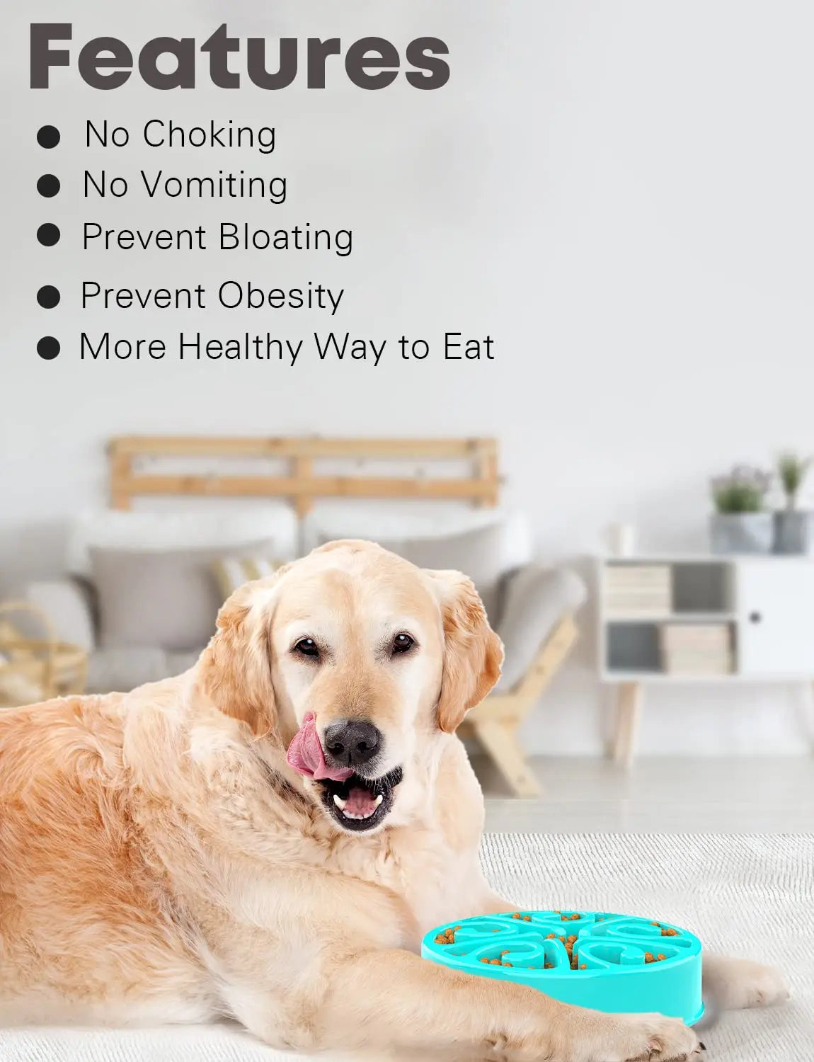EJVS™  Pet Non Slip Anti-Gulping Slower Food Feeding Dishes