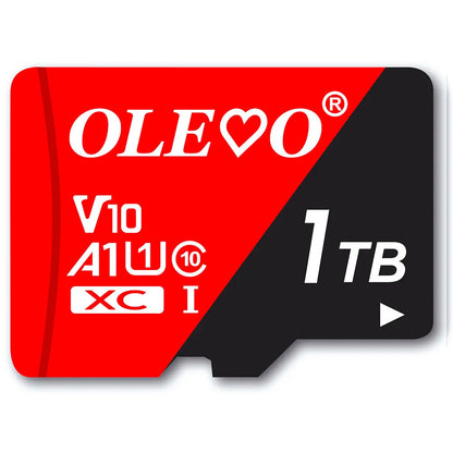 EJVS™ V10 Micro SD Cards