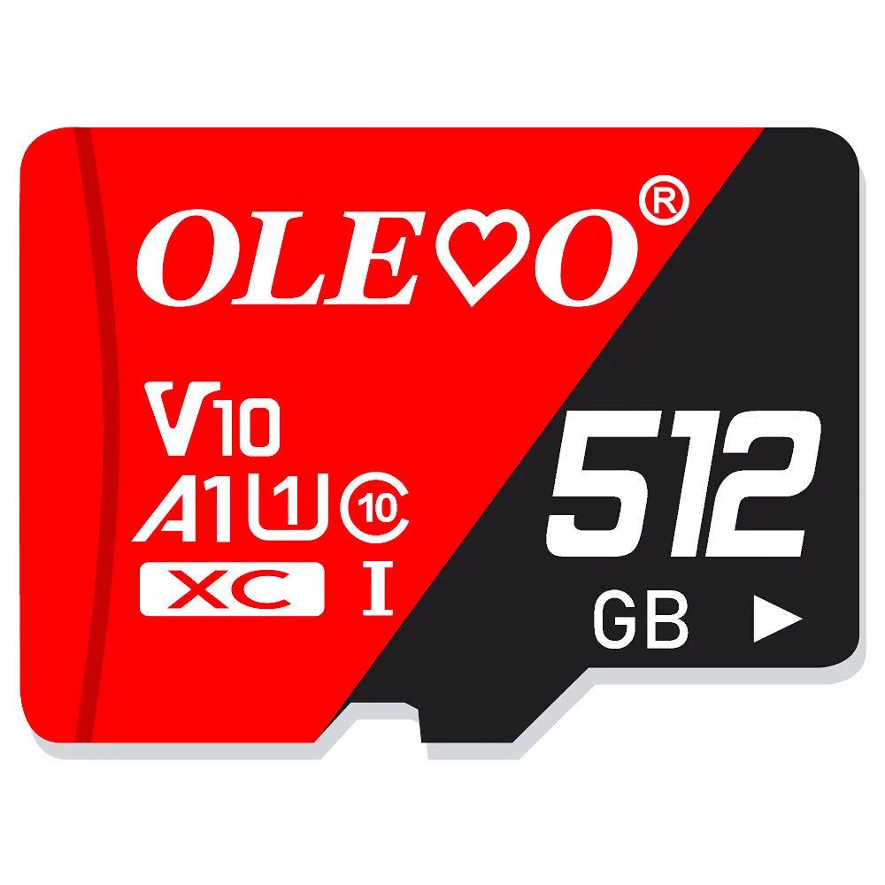 EJVS™ V10 Micro SD Cards