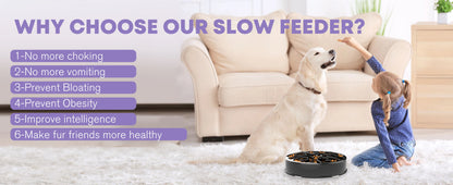 EJVS™  Pet Non Slip Anti-Gulping Slower Food Feeding Dishes