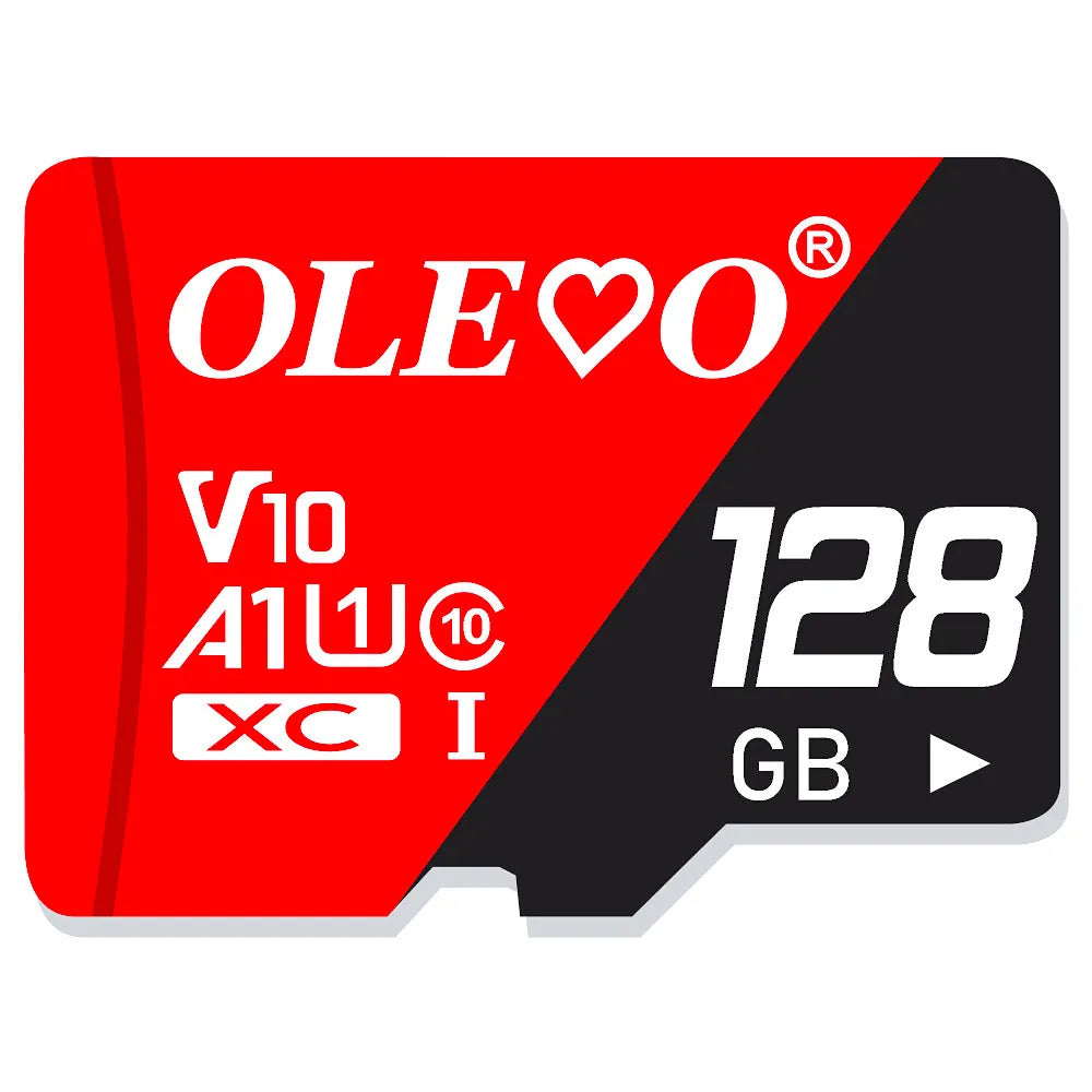 EJVS™ V10 Micro SD Cards