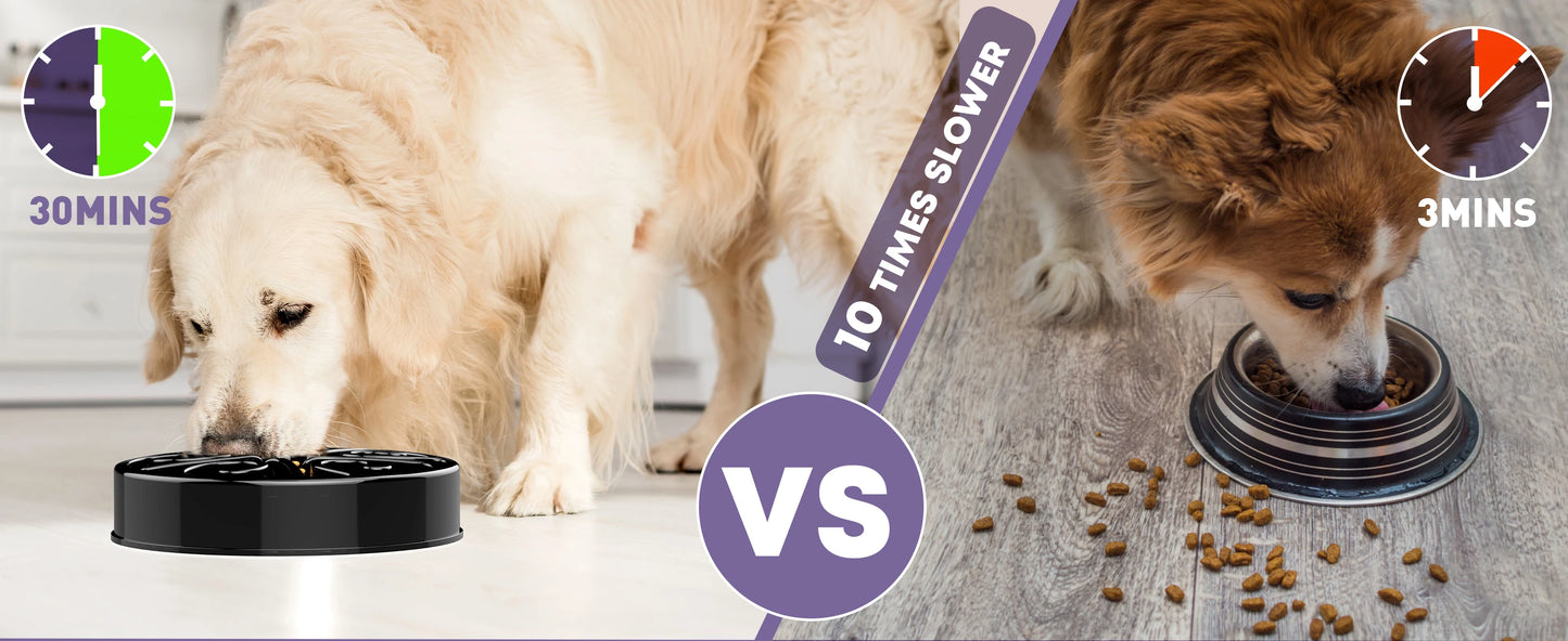 EJVS™  Pet Non Slip Anti-Gulping Slower Food Feeding Dishes