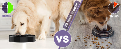 EJVS™  Pet Non Slip Anti-Gulping Slower Food Feeding Dishes